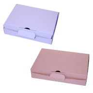 Hinged Lid Carton - Flat Folding