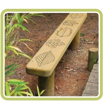 Leaf and Minibeast Bench's