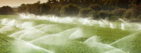 Irrigation Software Solutions