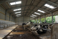 Steel Framed Building for Livestock in Shropshire