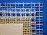 Blue food quality nylon mesh
