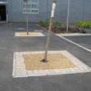 Tree Pits  Specialist Services  