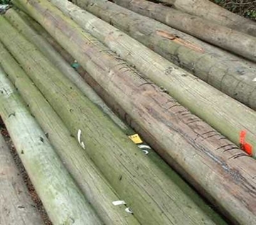 Landscaping Telegraph Poles