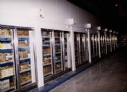 Specialist Manufactures Of Glass Freezers