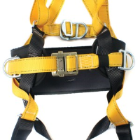 RGH 4 Front & Side D Harness