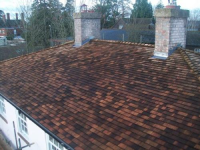  Roof Replacement Solutions