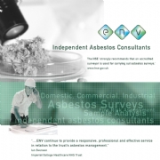 Asbestos Inspection Brighton