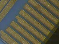 Thin Films Patterning Of Gold On Alumina