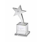 Mounted Shooting Star Award In Hartlepool