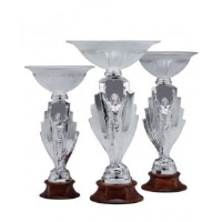 Figurine Glass Cup Awards In Sunderland