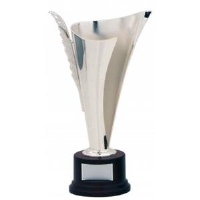 Silver Plated Cup Awards In Newcastle Upon Tyne