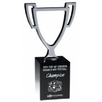 Winners Cup Metal Awards In Stanhope