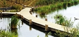 Boardwalk Designers in Hampshire