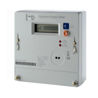 Landis & Gyr 5219 PolyPhase Electricity Credit Meter