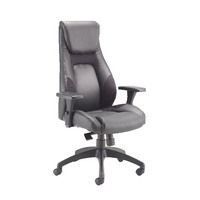 Leather Look and Mesh Managers Task Chair