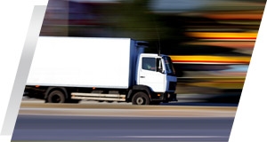 Professional Courier Services