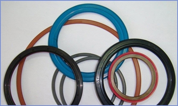 Composite oil seal of a conventional style