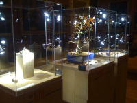 Bespoke Museum Display Cases