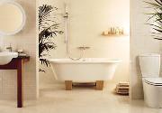 Interior Glazed Porcelain - Wall and Floor