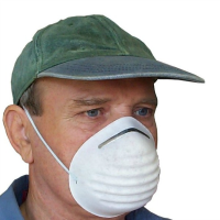 Disposable nuisance dust mask