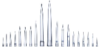 Pipette Tips