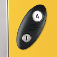 Extra Lock Options for Probe Lockers - Option A Standard cam lock c/w 2 keys