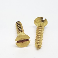 Brass Slotted Wood Screw Csk Head