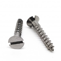 Chrome on Brass Slotted Csk Head Woodscrew