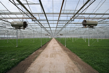 Agricultural Solutions