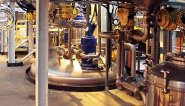 Turnkey Process Plant