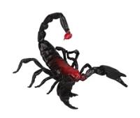 Scorpion Toys