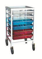 Standard Single Trolley with Trays