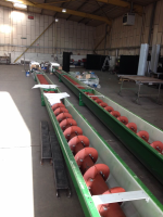 Multiple Outlet Screw Conveyors