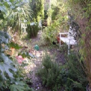 Garden Makeover In Lewisham