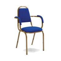 Zodiac arm chair