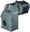 Shaft Mounted Gearboxes - Radicon Series F