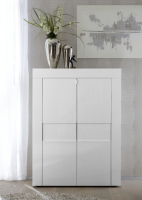 Dionne White Gloss Storage Unit / Cupboard