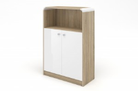 Polly white Gloss / Sonoma Oak Low Storage Cabinet