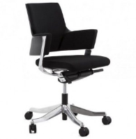 Raymond Ergonomic Office Chair