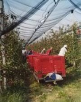 Fruit Collecting Systems
