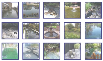 Supplier of Pond Showcases