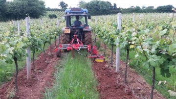 Inter Vine Cultivator Hire