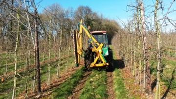 Hedgecutter For Hire