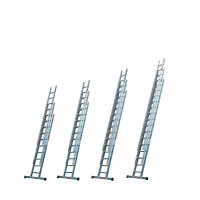 Professional Extension Ladders