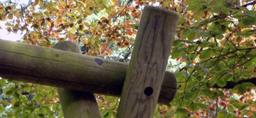 Decking Wooden Construction Poles 